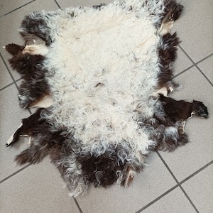 Real Sheep fur skin, ecru  and brown colour soft fur for floor rug.