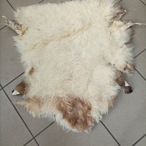 Real Sheep fur skin, ecru and cinnamon colour soft fur for floor rug.