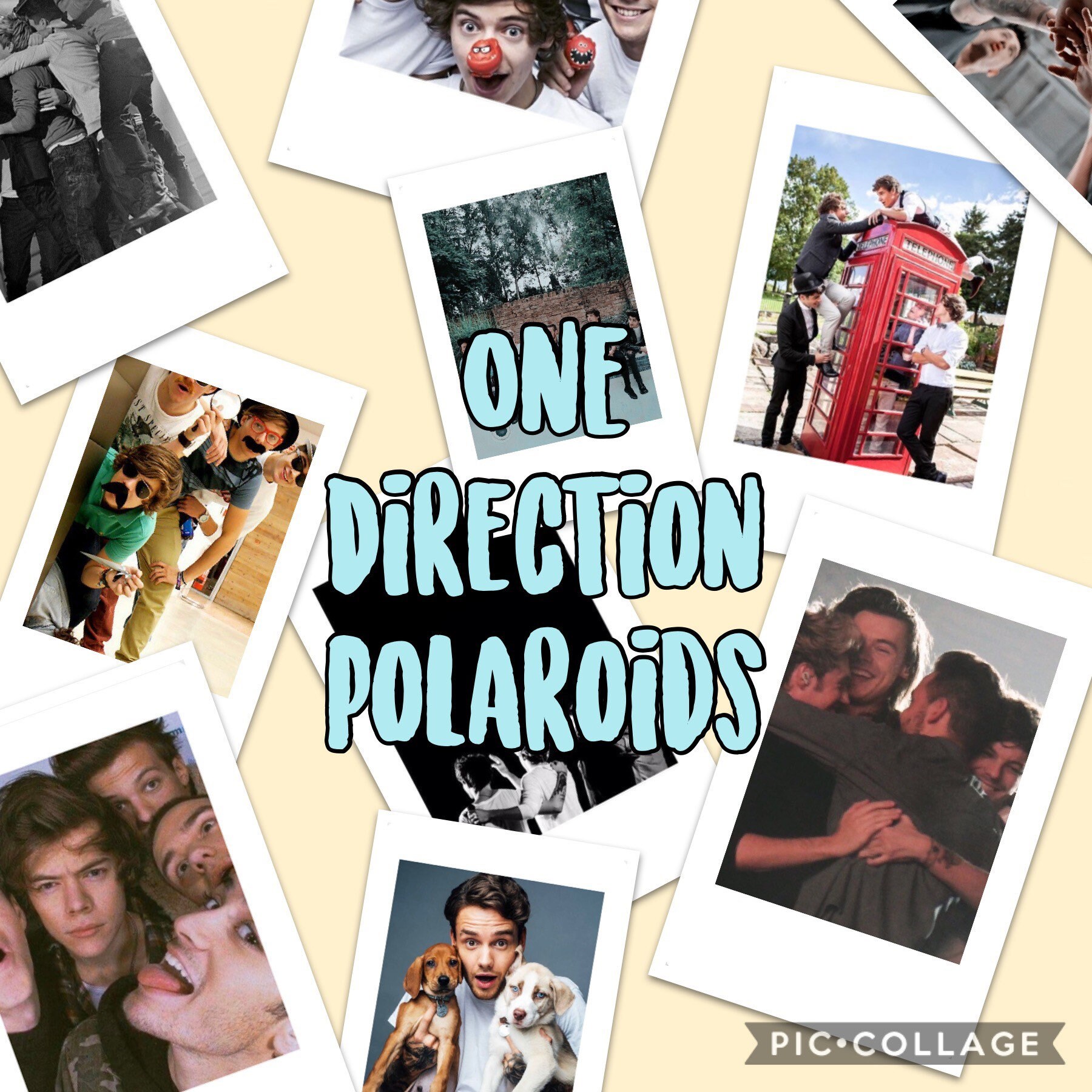 One Direction Polaroids | Harry Styles, Louis Tomlinson, Liam Payne, …