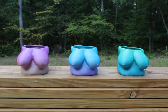 5.5" Large Pot, Large Boob, Pre-printed Rainbow Ombre Pastel | Planter, 3D  Print, Boobs, Breast, Breasts - Etsy