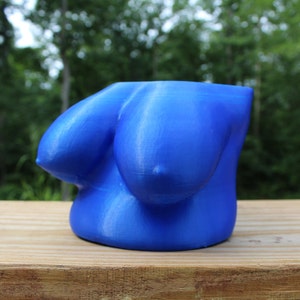 Puede incluir: Un macetero de color azul, impreso en 3D, con forma de busto. El macetero es liso y tiene un acabado brillante.