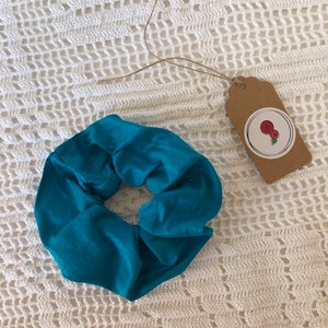 May include: Teal blue scrunchie made of soft fabric.