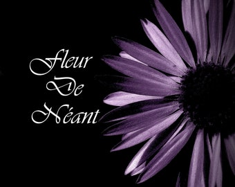 Fleur de néant - Récit poétique - auto édition