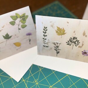 Dois cartões em branco com imagens de folhas e flores prensadas