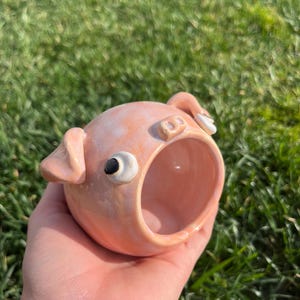 May include: A handmade, pink ceramic pig-shaped planter. The planter has a round body with a large opening, two small ears, and a detailed face with a black eye. The planter is held in a hand against a background of green grass.