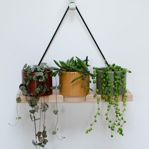Op de afbeelding: Drie hangende plantenbakken met verschillende planten. De bakken zijn gemaakt van hout en hebben een zwart metalen hangsysteem. De planten zijn een parelsnoer, een succulent en een hartensnoer.