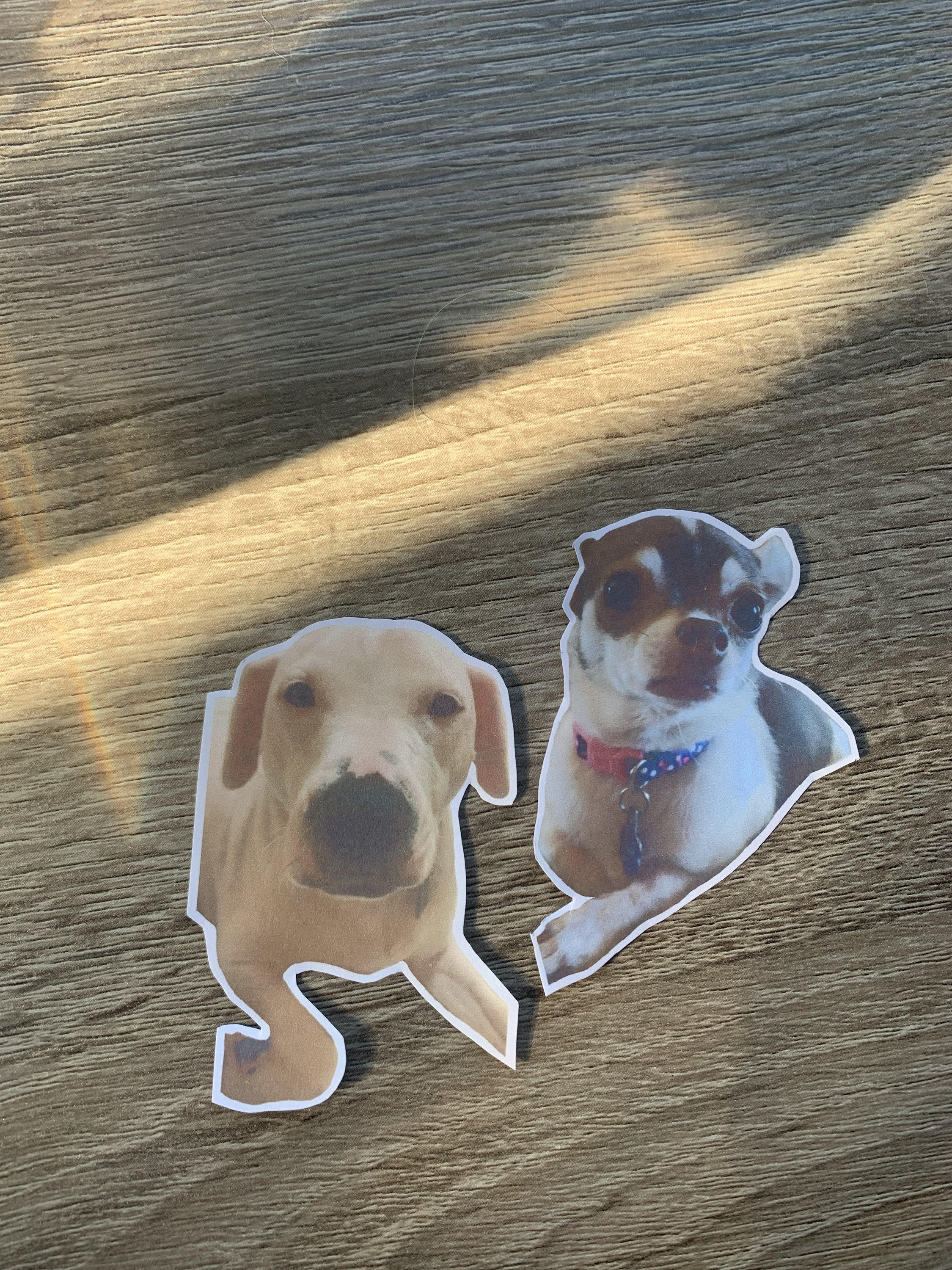 Custom dog stickers Etsy