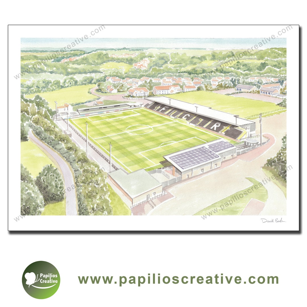 Forest Green Rovers FC - the New Lawn Stadium - Fine Art Watercolour ...