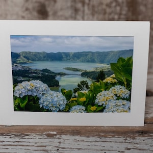 May include: A framed photograph of a scenic landscape with a lake and mountains in the distance. The foreground features white and blue hydrangeas in bloom.