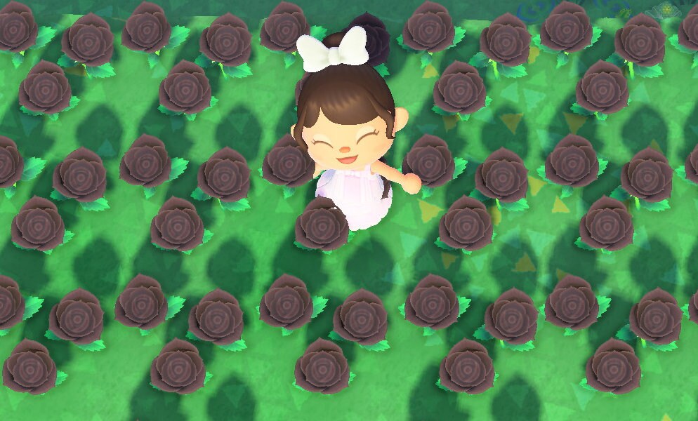 10 Black Roses Animal Crossing Etsy