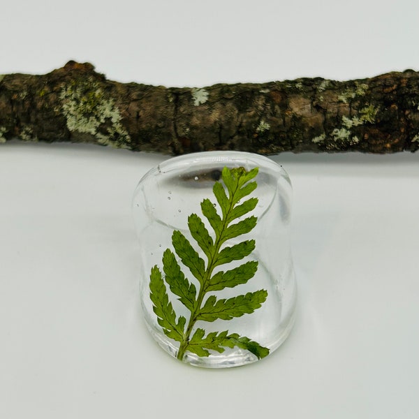 Real fern leaf ring. Fern leaf suspended in resin ring-size 8. Nature-forest inspired terrarium jewelry with preserved fern leaf. Resin ring