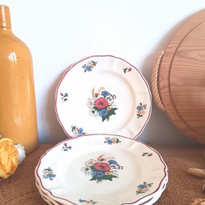 Sarreguemines Agreste - Etsy