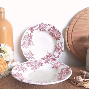 May include: Two white ceramic soup bowls featuring a detailed red floral transferware pattern along the rims. The bowls have a wide, shallow basin and a smooth, glossy finish, showcasing intricate botanical illustrations of flowers and leaves.