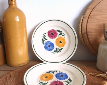 Pair of beautiful French vintage SARREGUEMINES Chalons colorful hand-painted floral ironstone 8" plates – rustic farmhouse – 10 available