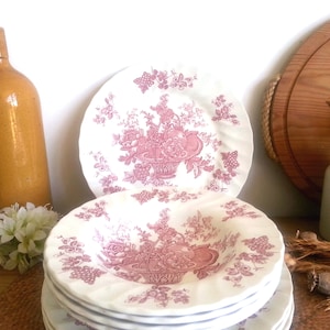 Puede incluir: Un juego de platos de cena de cerámica rosa y blanca con un patrón floral. Los platos presentan una cesta de frutas y uvas. Los platos están apilados uno encima del otro.