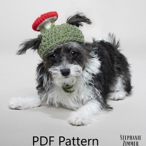 May include: A small, black and white dog wearing a green and red crocheted mushroom hat. The hat has a red top and a white stem. The dog is lying down on a light gray background. PDF Pattern.