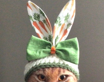 Easter Bunny, hats for cats, gifts for pet lovers, carrots, bunny