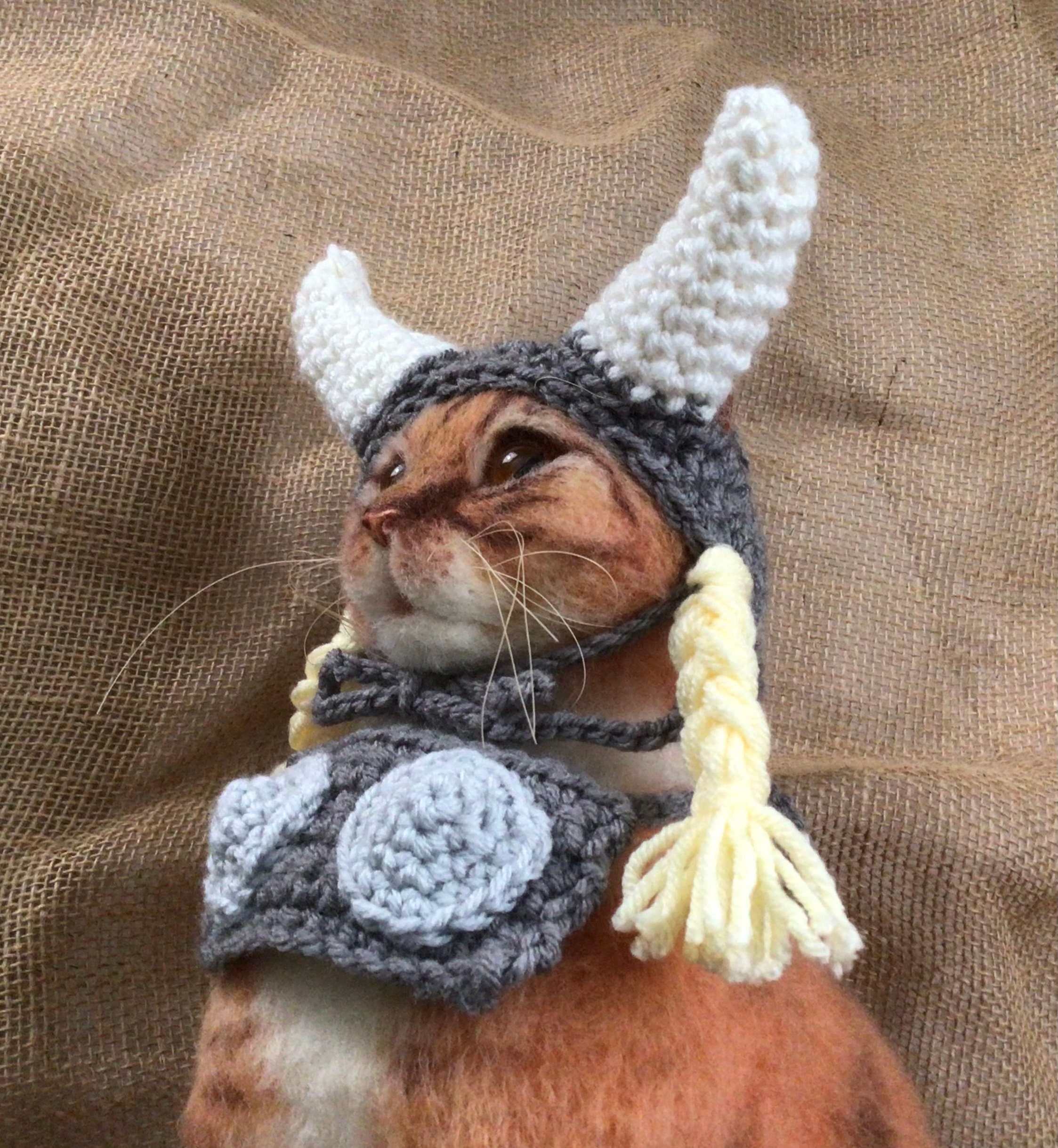 Brunhilde, Vikings, Valkyries, Wagner Opera, Hats for Cats, Pet