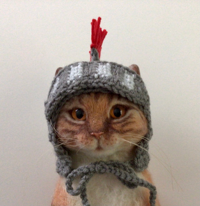K&ouml;nnte beinhalten: Eine rotbraune Katze tr&auml;gt einen grauen gestrickten Helm mit einem roten Bommel oben drauf.