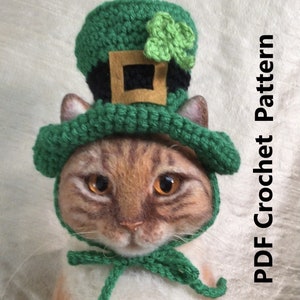 K&ouml;nnte beinhalten: Eine Katze tr&auml;gt einen gr&uuml;nen, geh&auml;kelten Leprechaun-Hut mit einer goldenen Schnalle und einem gr&uuml;nen Kleeblatt. Der Hut hat einen Rand und eine hohe Krone. Die Katze schaut in die Kamera. PDF H&auml;kelanleitung.