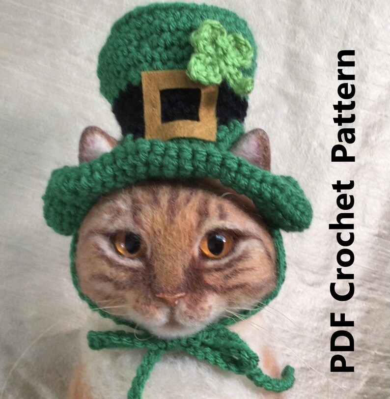 K&ouml;nnte beinhalten: Eine Katze tr&auml;gt einen gr&uuml;nen, geh&auml;kelten Leprechaun-Hut mit einer goldenen Schnalle und einem gr&uuml;nen Kleeblatt. Der Hut hat einen Rand und eine hohe Krone. Die Katze schaut in die Kamera. PDF H&auml;kelanleitung.