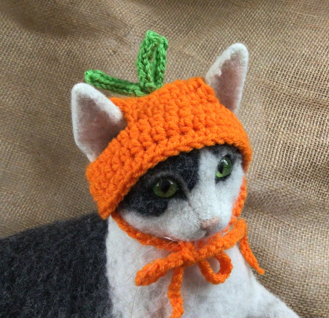 Carrot Hat Hats for Cats Veggie Hat Cat Hats Cat Costumes Etsy