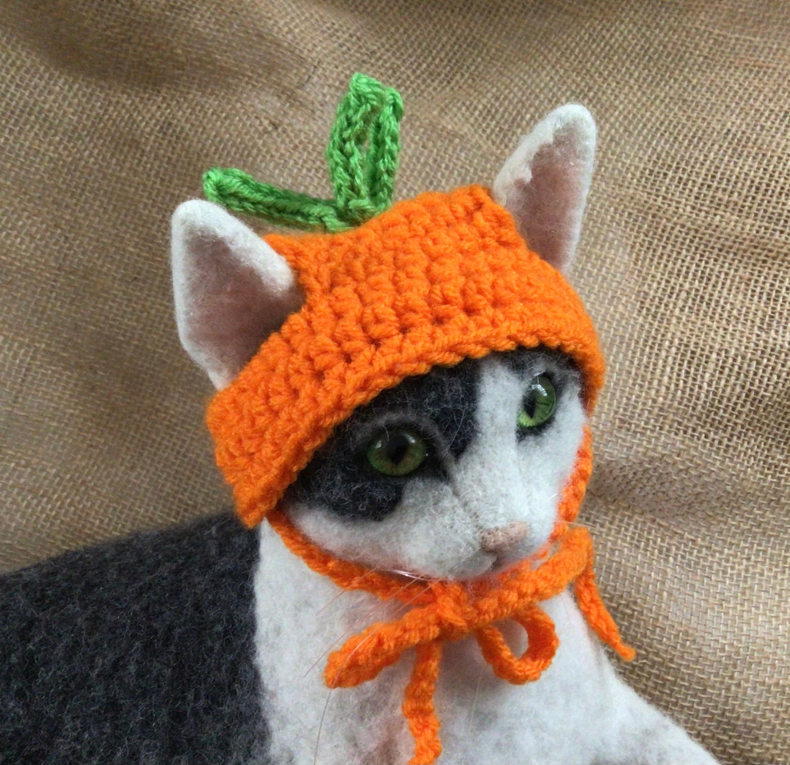 Carrot Hat Hats for Cats Veggie Hat Cat Hats Cat Costumes Etsy