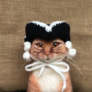 May include: A ginger cat wearing a black and white crocheted judge's hat with a white crocheted bow tie.