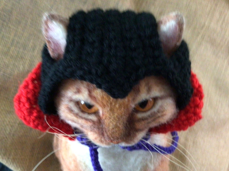 Dracula, Halloween, cappelli per gatti, cappello da vampiro, costumi per animali domestici, costumi per gatti, gatti, cappelli per animali domestici, cappello mostro, cappello all'uncinetto, cappello per animali domestici immagine 3