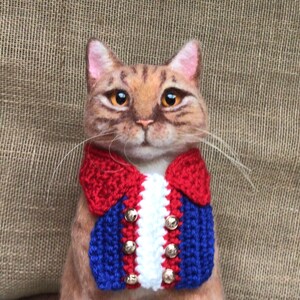 May include: A brown and orange tabby cat wearing a red, white, and blue crocheted vest with gold buttons.