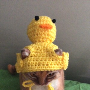 Rubber Ducky crochet pattern for pets, pet hat patterns image 2