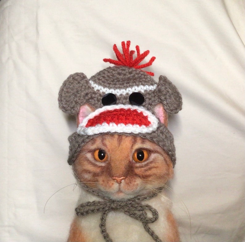May include: A brown and gray knitted monkey hat with a red pom-pom on top. The hat is worn by a cat with orange and white fur.