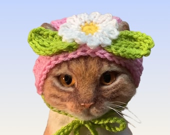 Cappello a margherita per gatti, cappelli per gatti