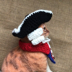 May include: A tabby cat wearing a black and white crocheted pirate hat and a red, white, and blue crocheted scarf.