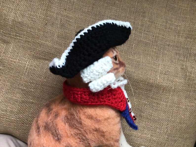 May include: A tabby cat wearing a black and white crocheted pirate hat and a red, white, and blue crocheted scarf.