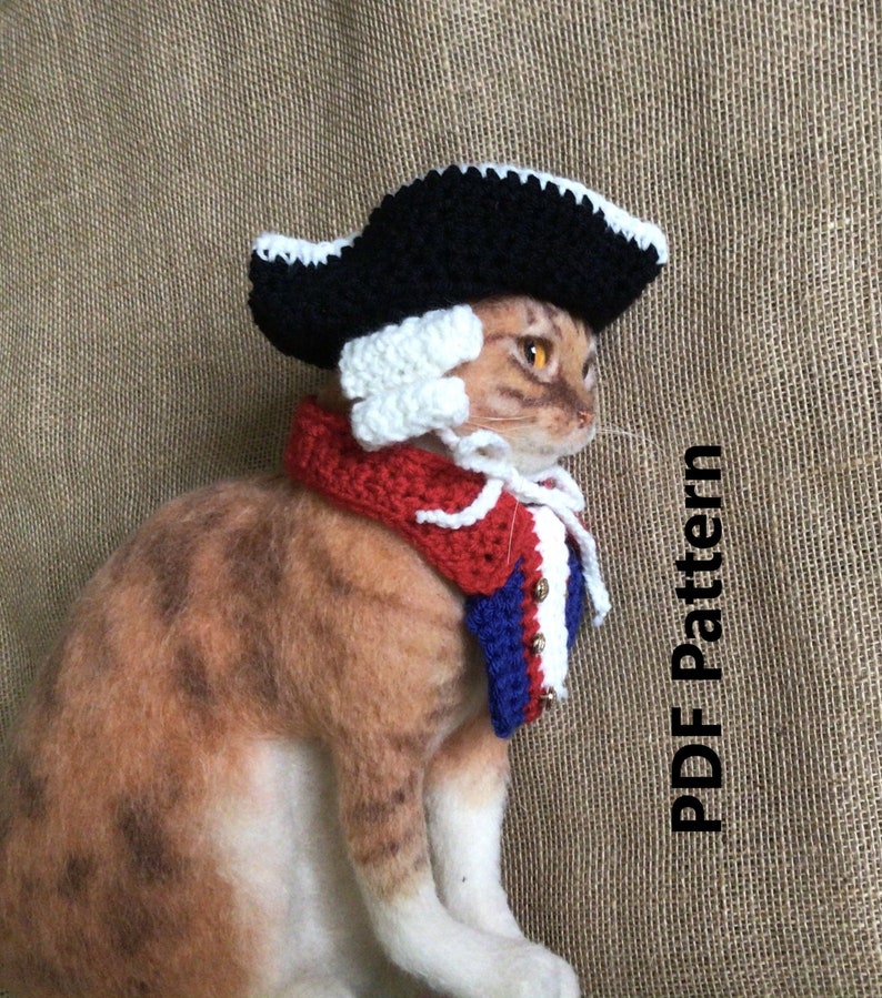 May include: A brown and white cat wearing a crocheted hat and scarf. The hat is black with a white trim and the scarf is red, white, and blue. The text "PDF pattern" is visible in the image.