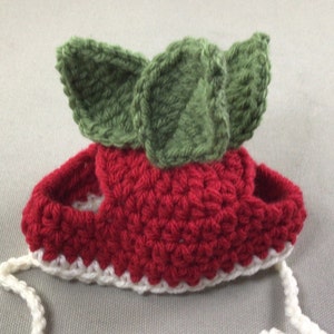 Veggie crochet pattern for pets, crochet pattern, cat hat pattern, animal hat pattern, carrot, onion, radish, veggie pattern, patterns image 2