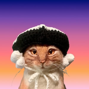 May include: A tabby cat wearing a black and white crocheted hat and a white crocheted neckpiece. The cat has orange eyes and whiskers. The background is a gradient of pink, purple, and orange.