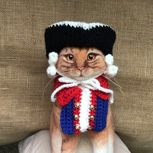 May include: A brown tabby cat wearing a red, white, and blue crocheted vest and a black and white crocheted hat. The cat is sitting on a brown burlap background.