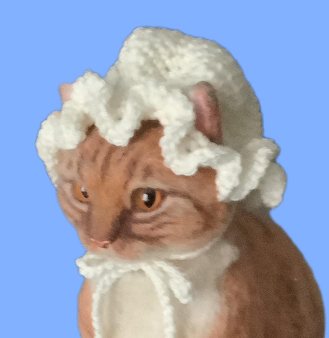 Colonial Cat Cap, Hats for Cats, Pet Hats, Early American - Etsy