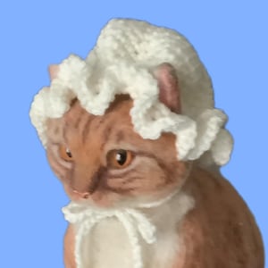 May include: A ginger tabby cat wearing a white crocheted bonnet with a ruffled edge and a matching tie under its chin. The cat has amber eyes and is set against a light blue background. The bonnet is handmade.