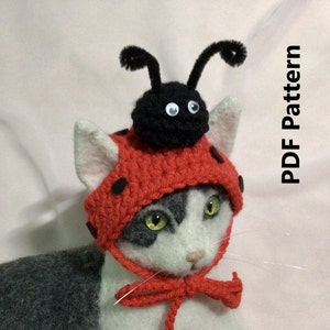 Ladybug, ladybug crochet pattern, cat hat pattern, Oona Patterns, animal hat pattern, pet hat pattern, bug hat pattern, crochet pattern