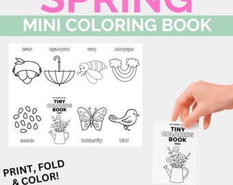 Minilibro para colorear de primavera, páginas para colorear de insectos, libro para colorear de la naturaleza para niños en edad preescolar, hojas para colorear, actividad imprimible para fiestas.