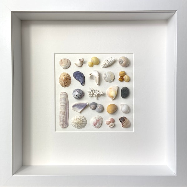 Shell picture, Seashell display, Beach art, Shell art, Shell frame, Coral beaches, Skye