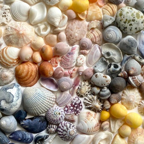 油絵。「トレド　アルカンタラ橋スペイン」　額縁付きです。6号サイズ。 油絵。「トレド アルカンタラ橋スペイン」 額縁付きです。6号