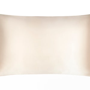 Colourful Silk Pillowcases 100% Pure Silk 19 Momme Standard 50cm X 75cm image 6