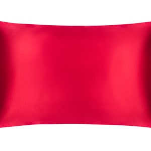 Colourful Silk Pillowcases 100% Pure Silk 19 Momme Standard 50cm X 75cm image 7