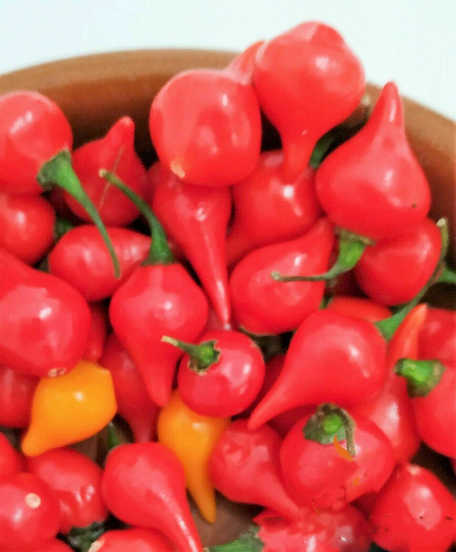 20 Sweety Drops Chili Peppers Seeds Pepper Seeds Tear Red Drop | Etsy