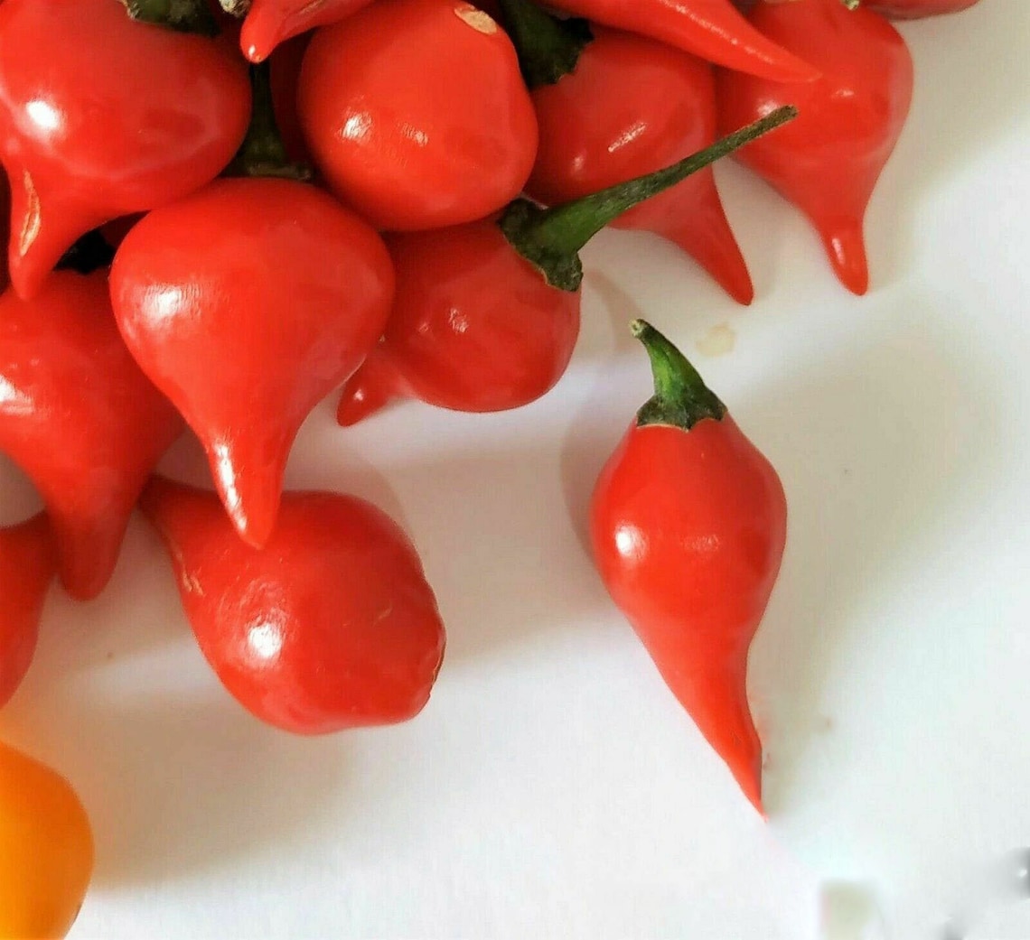 20 Sweety Drops Chili Peppers Seeds Pepper Seeds Tear Red Drop Etsy
