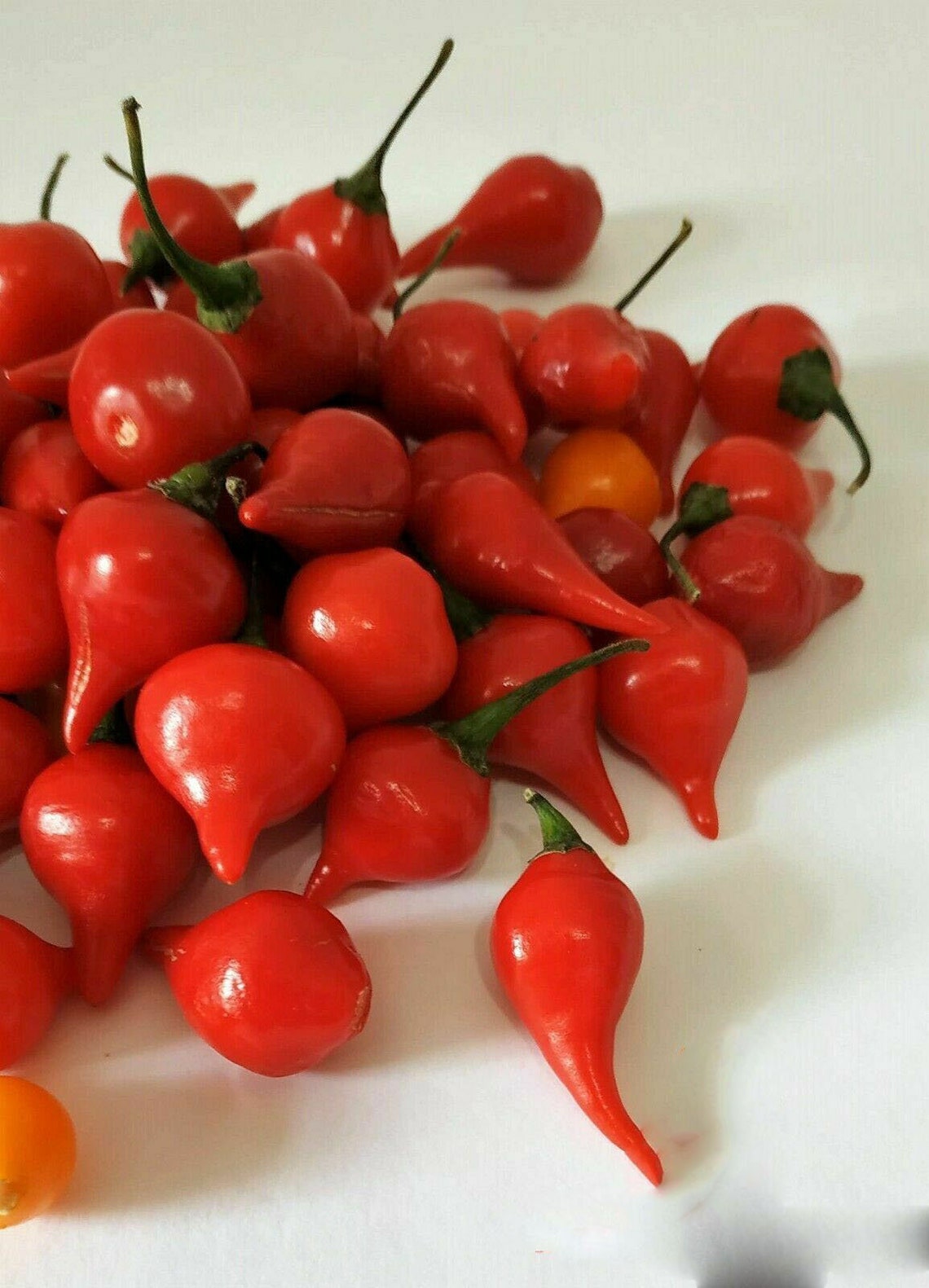 20 Sweety Drops Chili Peppers Seeds Pepper Seeds Tear Red Drop Etsy